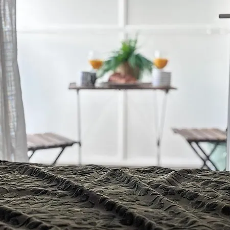 アパート Recent Avec Terrasse Airbus Aeroport コロミエ