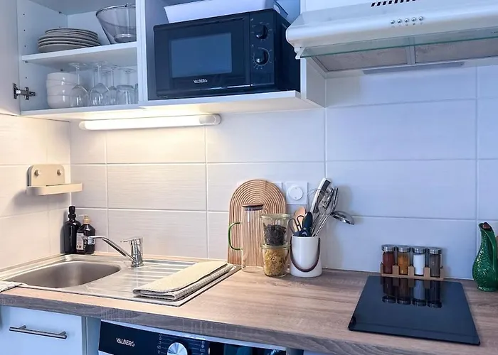 Recent Avec Terrasse Airbus Aeroport شقة